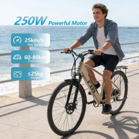 Bicicleta eléctrica Finer Mobility M2 Step-Thru 250W 36V 13Ah plegable Shimano 7V