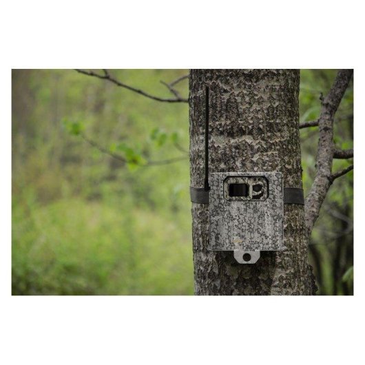 Estuche de Seguranca Spypoint Cam Micro Camouflage