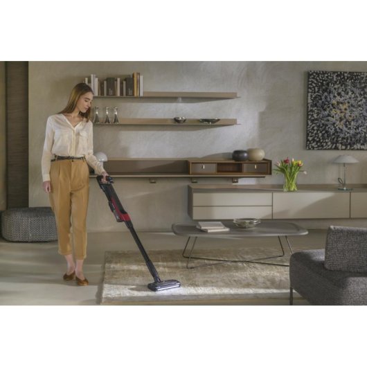 Aspirador sem Fios Hoover HF210H 165W 40 min Turbo EPA Preto Vermelho