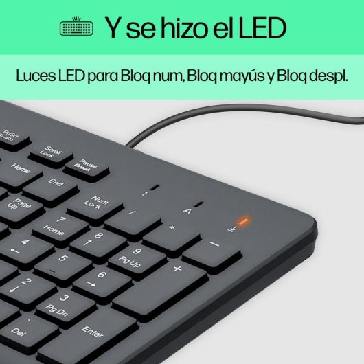 Teclado HP 150 alámbrico completo USB negro con cable de 1 m