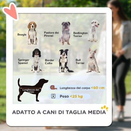 Passeggino per cani taglia media Aosom pieghevole Finestre