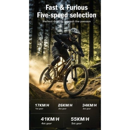 Bicicleta eléctrica E-Bycco E8 Motor 750W Batería 48V Neumáticos 29"