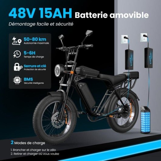 Bicicleta Eléctrica Aairsk X5 Motor 250W Batería 48V 15Ah