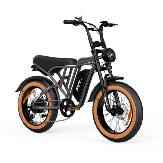 Bicicleta Eléctrica PVY A20 48V 20Ah 80km 20" 25km/h Gris