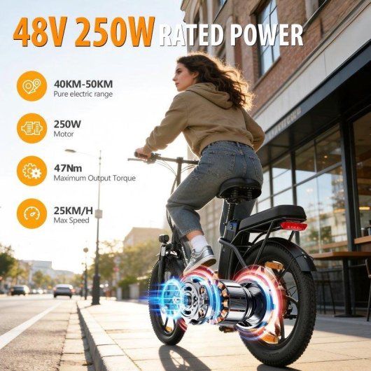 Velo electrique Zazawork C16 250 W 48 V 16 Ah