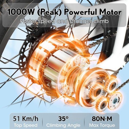 Bicicleta Eléctrica Philodo Traveller Doble Batería 1000W 48V Plegable