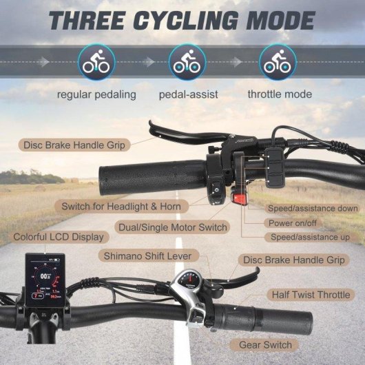 Bicicleta eléctrica Philodo Jumbo Doble Motor 1000W 48V 23Ah Todoterreno