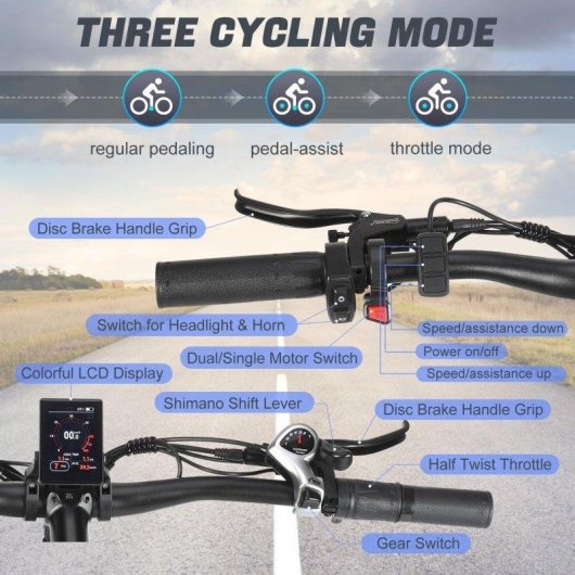 Bicicleta Eléctrica Philodo Jumbo Doble Motor 1000W Baterías Extraíbles 26"