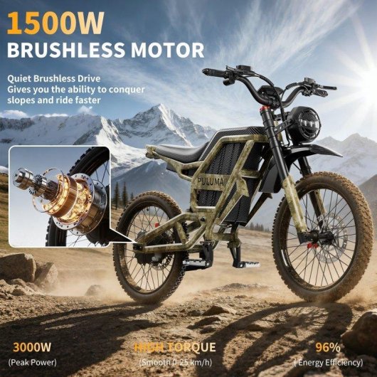 Bicicleta Eléctrica Puluma PM001 Motor 1500W Batería 60V 30Ah 17"