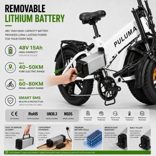 Bicicleta Eléctrica Puluma EB FM-2.0 500W 48V 15Ah 20"
