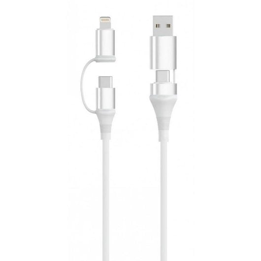 Cable USB Ewent 4 en 1 60W 1 m