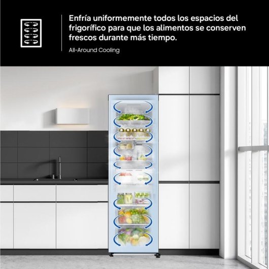Frigorífico Uma Porta Samsung RR70H39DCFEF Total No Frost 186cm 387L D Inox WiFi IA