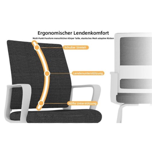 Sedia da ufficio Rolipo W3301 struttura metallica confortevole minimalista
