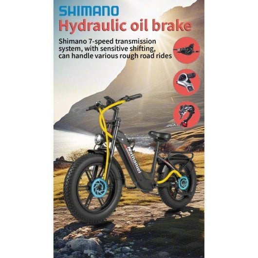 Bicicleta eletrica Nathaniel SYR08 Twin Motor 1000W 48V 20Ah 20 polegadas
