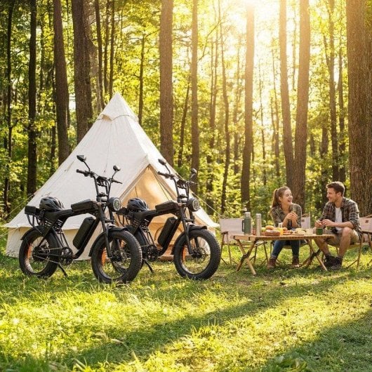 Bicicleta Eléctrica Todo Terreno Aairsk X5 20" 48V/15,6Ah