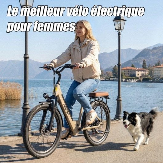 Bicicleta Eléctrica Urbana Aairsk Velo 26" Batería Amovible 36V 13Ah 250W