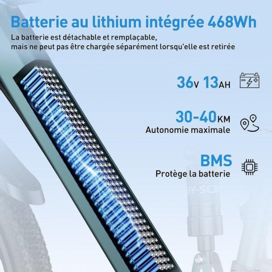 Bicicleta Eléctrica Aairsk 26 Pulgadas Motor 250W Batería 36V 13Ah 21 Velocidades Azul