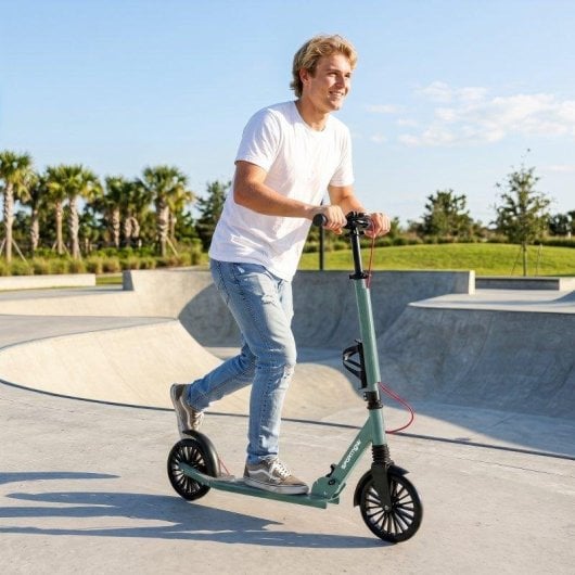 Welltin Klapproller 20 cm PU-Räder Dreifachfederung 100 kg Traglast
