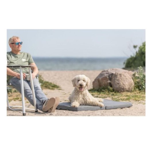 Alfombrilla TRIXIE 120 x 80 cm Grigio per cane interno esterno