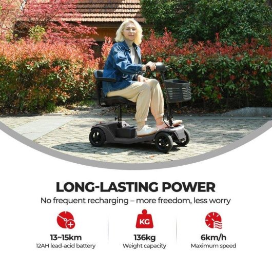 Scooter eléctrica Sweetrich S2 250W batería extraíble asiento desmontable