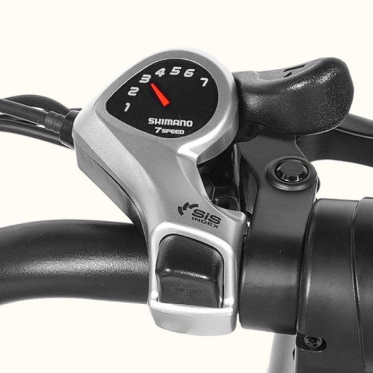 Bicicleta eléctrica ESKUTE C202 Motor 250W Batería 48V 17.5Ah 26" Verde