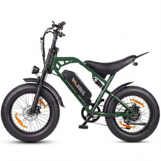 Bicicleta Eléctrica ESKUTE V202 250W 48V Neumáticos 20"x4"
