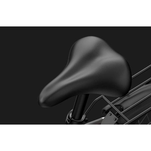 Bicicleta eletrica PVY Z20 PRO EVO 250 W 36V 14,5Ah
