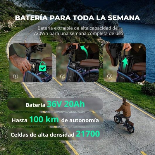 Bicicleta Eletrica Fafrees F20 Pro 250W 36V 20Ah Roxo