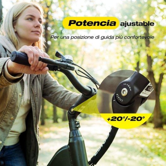 Bicicleta eléctrica ESKUTE C202 Motor 250W Batería 48V 17.5Ah 26" Pantalla LCD