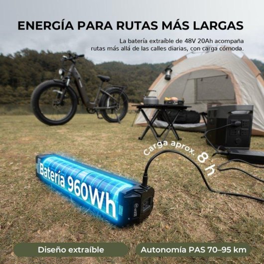 Velo electrique FAFREES F26 ROVER 250W 48V 20Ah