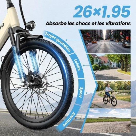Elektrofahrrad Aairsk City Commuter 250 W, abnehmbarer Akku 36 V 13 Ah