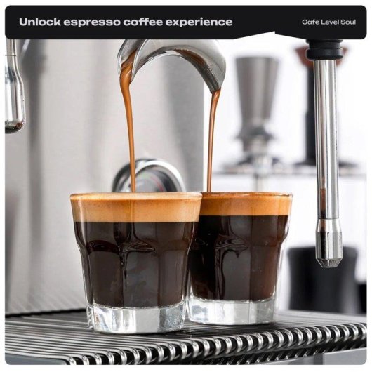 Macchina da caffè espresso HiBREW H21 tripla caldaia doppia pompa 9 bar
