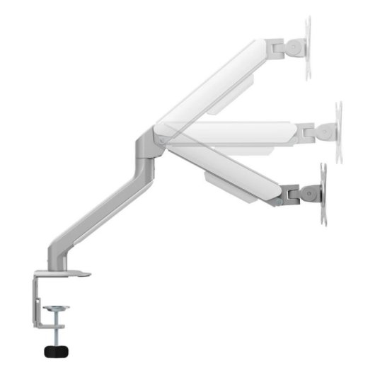 White Shark AKHENATEN Support Moniteur 17 à 32" VESA 75x75 à 100x100 Max 9Kg Bureau Argent