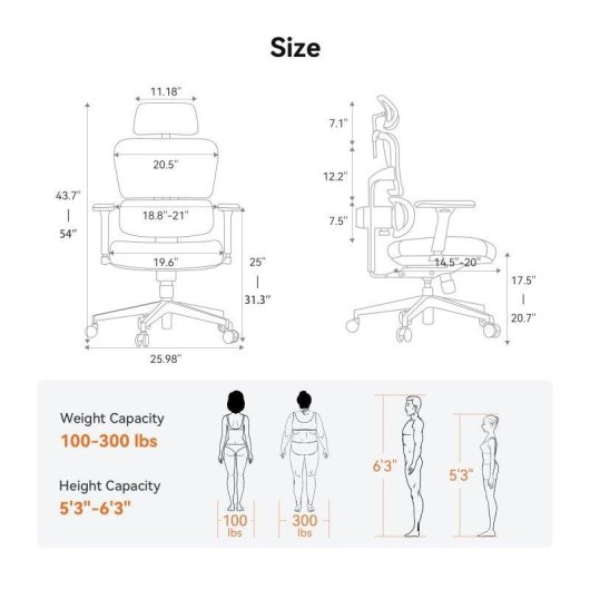 Chaise de bureau Newtral NT001 ergonomique avec soutien lombaire