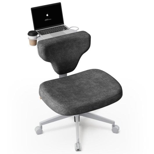 Cadeira Ergonomica NEWTRAL FP-DG Cinza Escuro com Bandeja Portatil