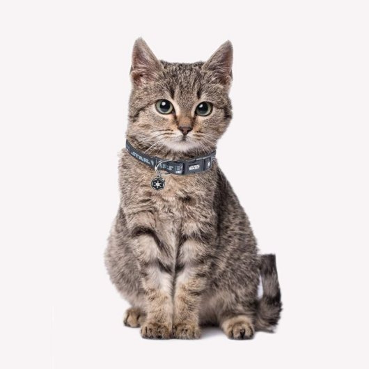 Collar Premium Para Mascotas Darth Vader Star Wars Xxs/xs
