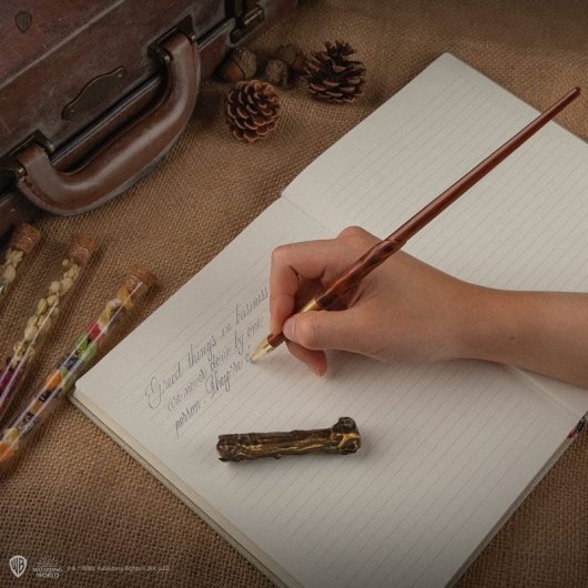 Varita Bolígrafo Harry Potter Stand Y Marcapáginas