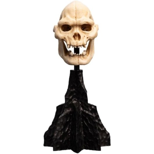 Estatua Skull Of Lurtz Calavera De Lurtz El Señor De Los Anillos Weta Workshop 14 Cms