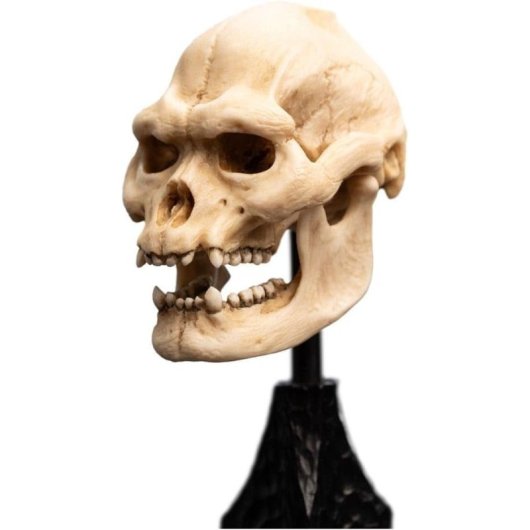 Estatua Skull Of Lurtz Calavera De Lurtz El Señor De Los Anillos Weta Workshop 14 Cms