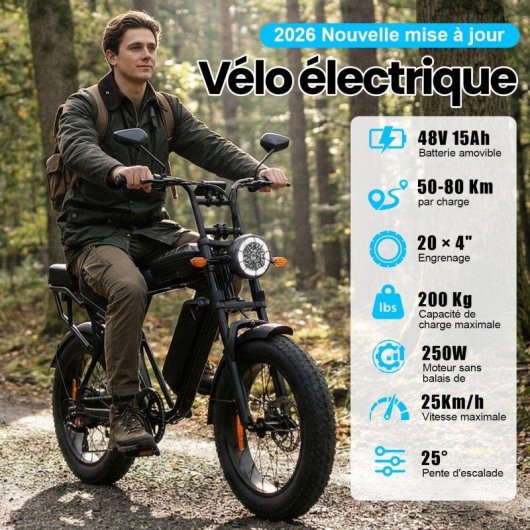 Bicicleta Eléctrica Aairsk X5 250W 75N·m Batería 48V 15Ah Neumáticos Fat