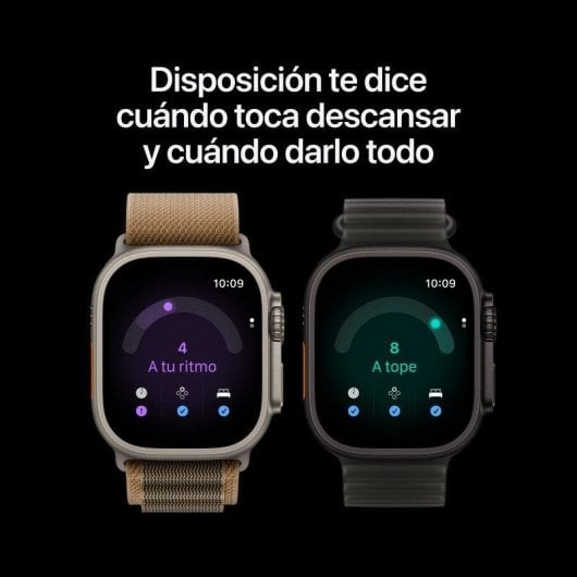 Apple Watch Ultra 4 GPS + Cellular 49mm Titan Natur mit Loop Alpine Armband Groß