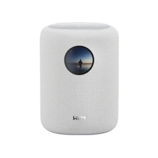 Altoparlanti WiiM Sound 2 vie Wi-Fi 6E Bluetooth 5.3 100 W Bianco
