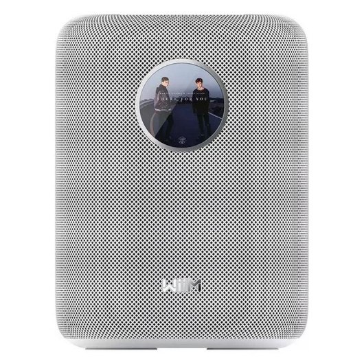 Altoparlanti WiiM Sound 2 vie Wi-Fi 6E Bluetooth 5.3 100 W Bianco