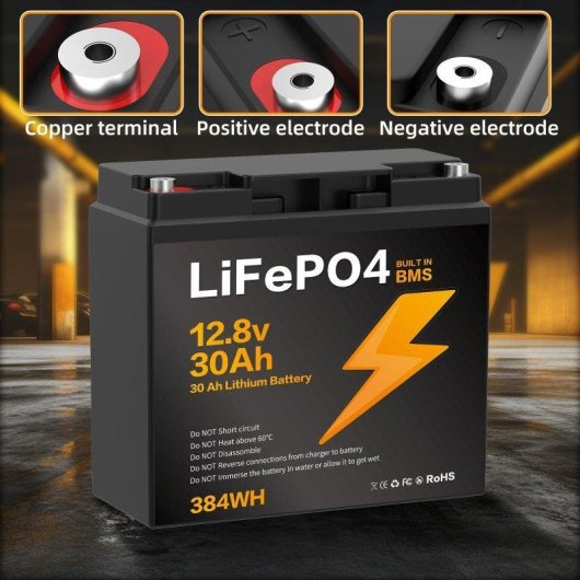 Batería de litio Blossom BZ0003-LFP-100Ah 12,8V IP67 BMS para energía autónoma