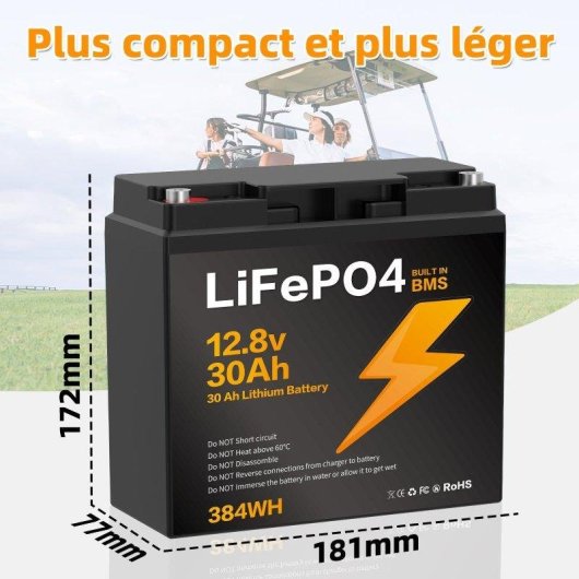 Batería de litio Blossom BZ0003-LFP-100Ah 12,8V IP67 BMS para energía autónoma