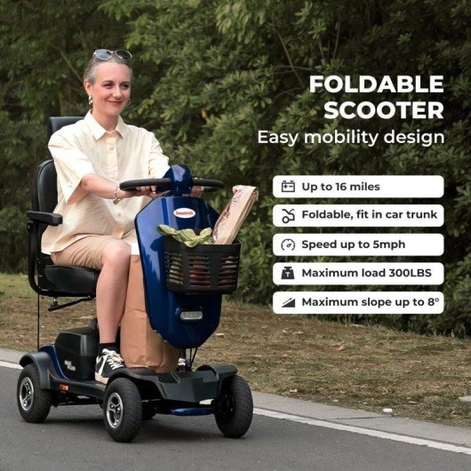Scooter eléctrica Sweetrich Max Plus 300W asiento de lujo 20Ah 25 km