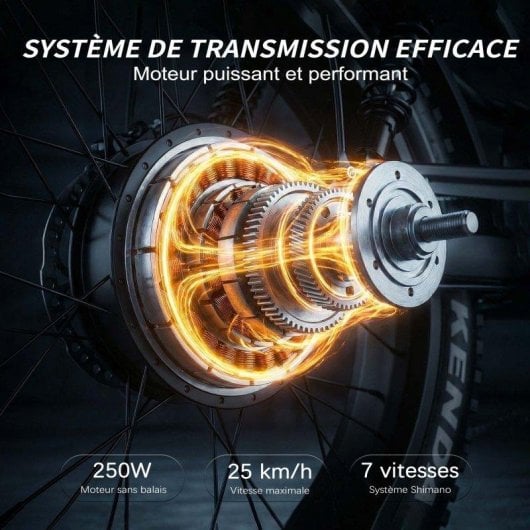 Bicicleta Eléctrica Maxturn MX10 Motor 250W Batería 48V 13,5Ah Neumáticos 20" Negro