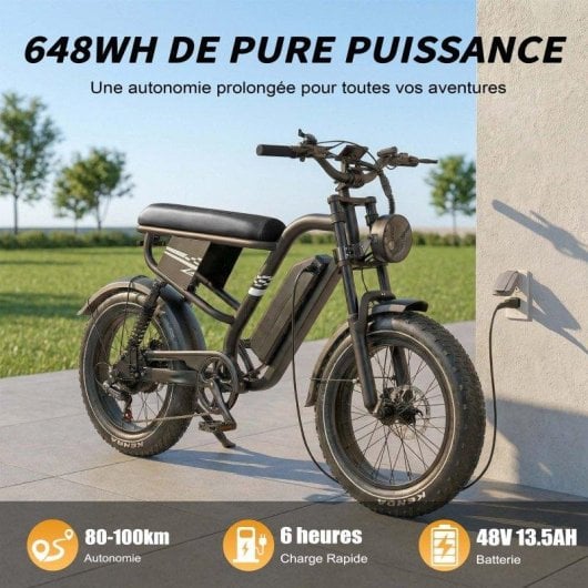Bicicleta Eléctrica Maxturn MX10 Motor 250W Batería 48V 13,5Ah Neumáticos 20" Negro