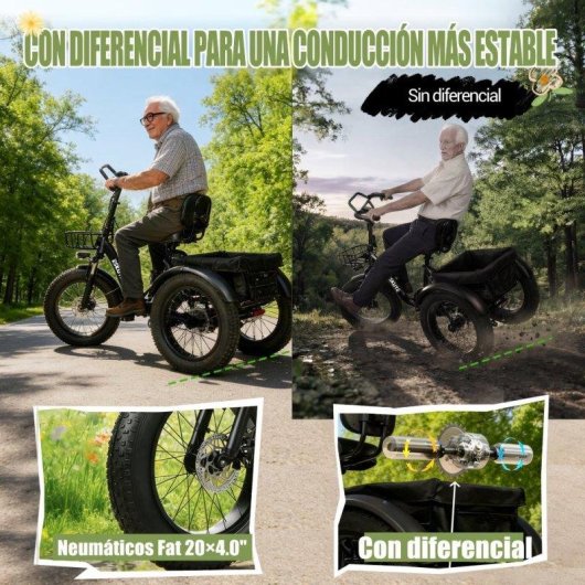 Triciclo Eléctrico ESKUTE T302Pro 250W 48V 20.8Ah