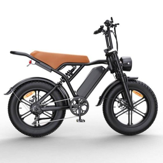 Bicicleta Eléctrica Toofly G20 250W 48V 15,6Ah 20×4